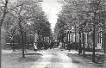 Transvaalwijk0002, Kritzingerlaan. 1907